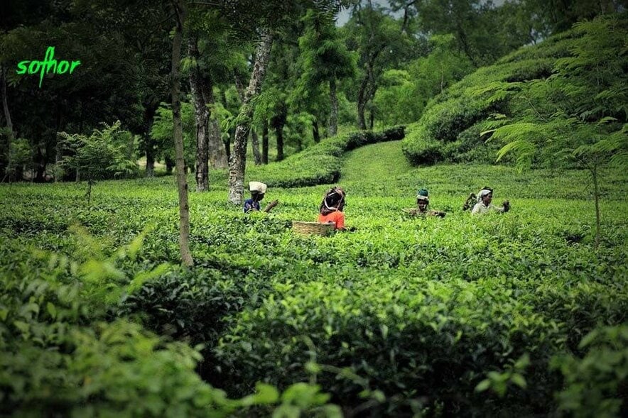 Eng yaxshi sifatli eng yaxshi guruh porno